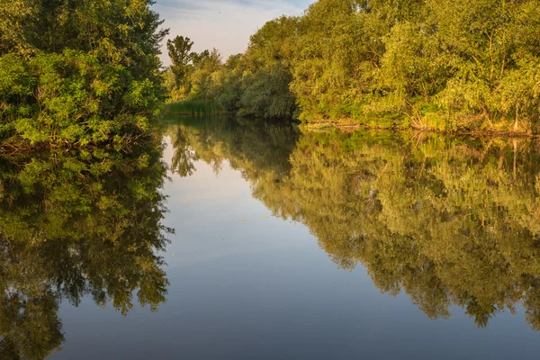 Nature of Ukraine. June 2014