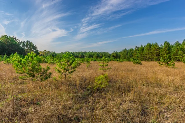 Nature de l'Ukraine. octobre 2014 — Photo