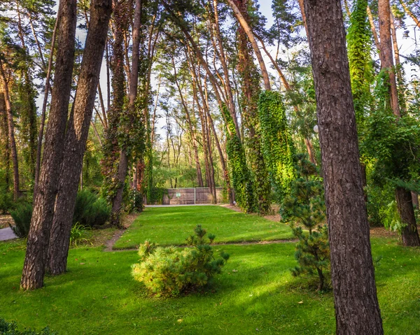 Nature of Ukraine. October 2014 — Stock Photo, Image