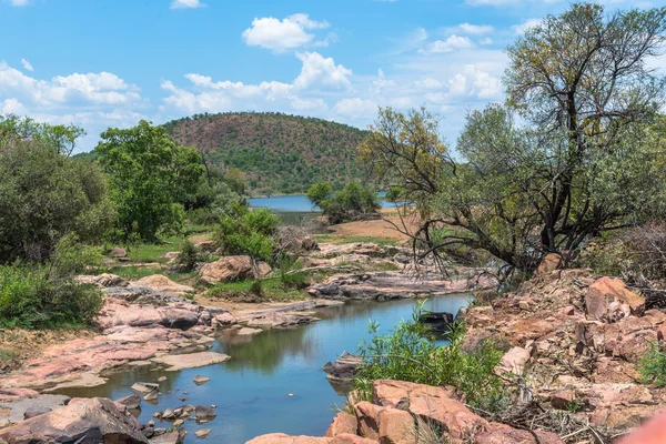 Pilanesberg Nationaalpark. Zuid-Afrika. 7 december 2014 — Stockfoto