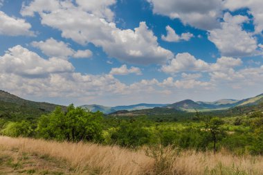 Pilanesberg ulusal park. Güney Afrika. 7 Aralık 2014