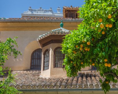 Katedral. Granada, Endülüs, İspanya
