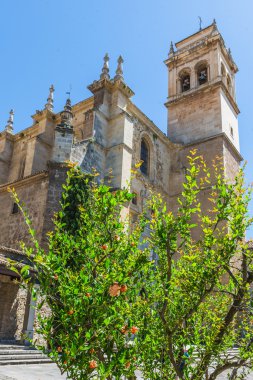 Katedral. Granada, Endülüs, İspanya