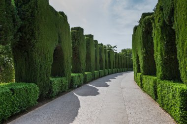 Sarayı Alhambra, Granada, İspanya. 18 Mayıs 2015