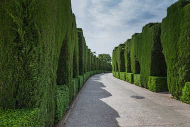 Sarayı Alhambra, Granada, İspanya. 18 Mayıs 2015