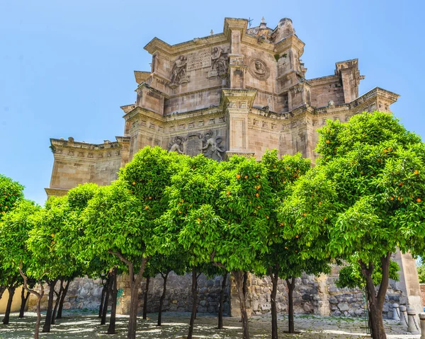 Catedral Granada Andalucía España — Foto de Stock