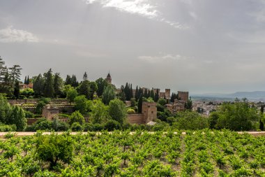 Alhambra, Granada, İspanya