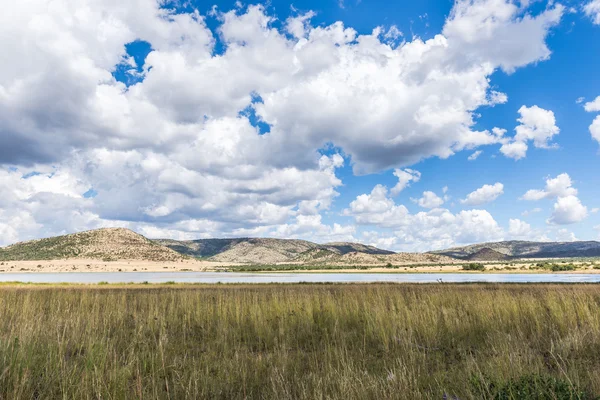 Pilanesberg Ulusal park. Güney Afrika. — Stok fotoğraf