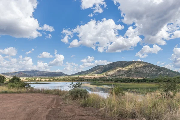 Parque Nacional Pilanesberg. África do Sul . — Fotografia de Stock