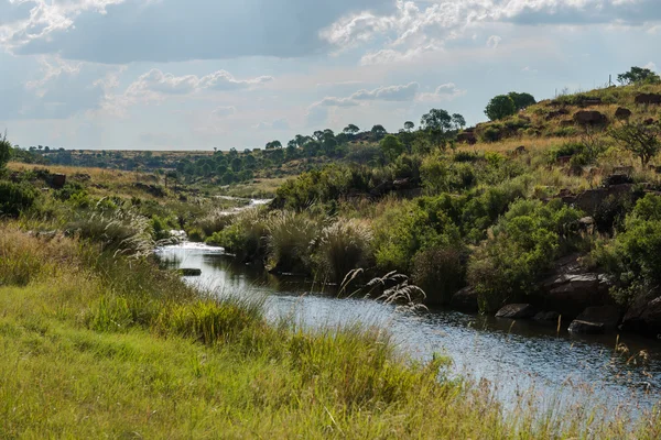 Национальный парк. Южная Африка . — стоковое фото