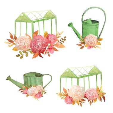 Elle çizilmiş suluboya bahçe, beyaz arka planda izole edilmiş seralar, sulama kutuları ve çiçeklerle dolu. Güllerle ve seralarla suluboya kompozisyonlar, eski bahçe sulama kutuları..