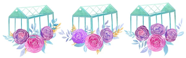 手绘水彩画集 绿屋和明亮的玫瑰隔离在白色背景 简朴的温室和紫色 粉色的花朵排列 — 图库照片