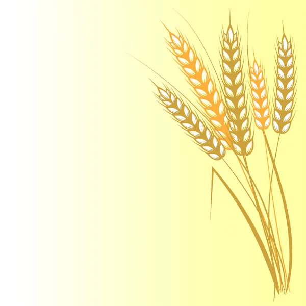 Wheat Ears Yellow Background Vector Illustration — Stock Vector