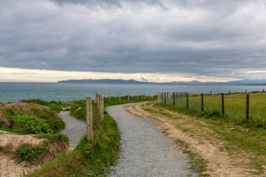 Sahil yolundaki İrlanda manzarası