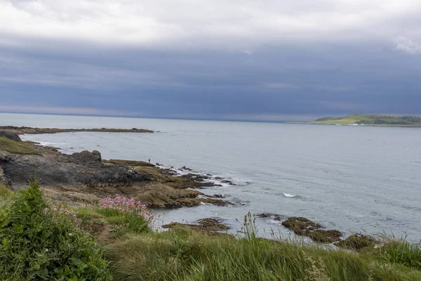 Utsikt Över Stranden Landskap Irland — Stockfoto