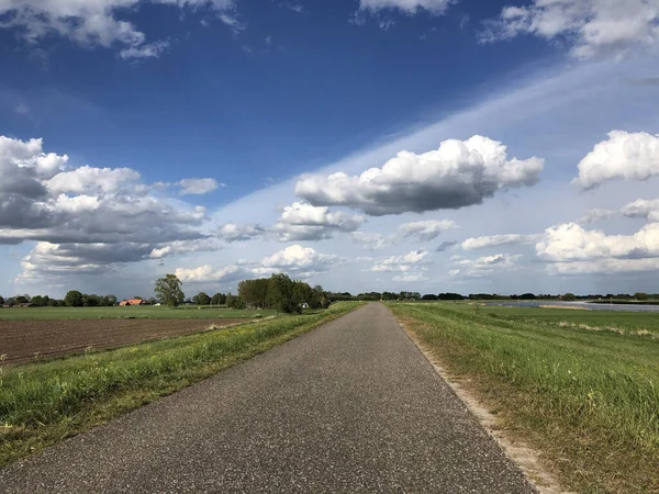 Ścieżka Rowerowa Wokół Rzeki Ijssel Holandii — Zdjęcie stockowe