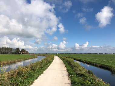 Hollanda 'da Frizya manzarası panoramik