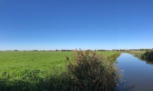 Kanal Richtung Easterwierrum Friesland Niederlande — Stockfoto