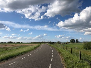 Hollanda 'da WIlsum' da Manzara