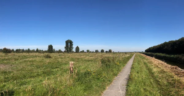 Lauwersmeer Ulusal Parkı Friesland Hollanda Dan Geçen Bir Yol — Stok fotoğraf
