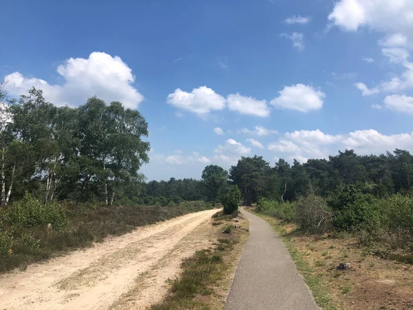 Carriles Bici Colina Lemele Overijssel Países Bajos — Foto de Stock