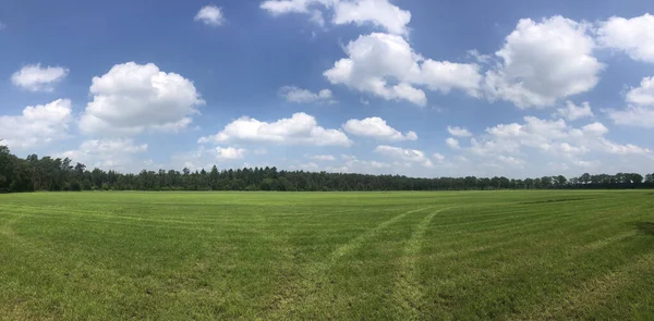 Overijssel 'deki Rechteren çevresindeki manzara Hollanda