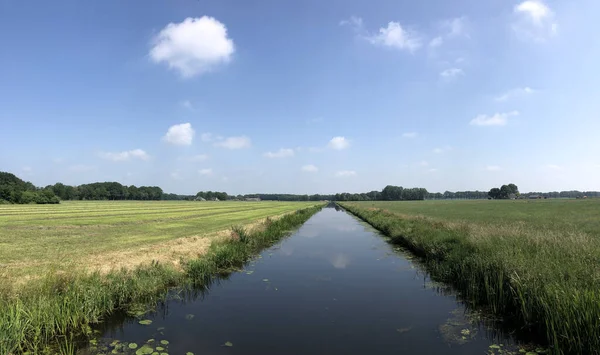 Mezőgazdasági Terület Csatorna Hardenberg Környékén Overijssel Hollandia — Stock Fotó