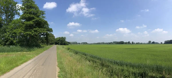 Gramsbergen Çevresindeki Tarım Arazileri Overijssel Hollanda — Stok fotoğraf