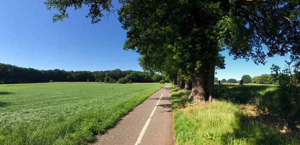 Panorama Vom Radweg Rund Das Dorf Beerze Overijssel Niederlande — Stockfoto