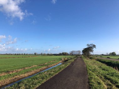 Hollanda, Friesland 'da Langelille civarında bisiklet yolu
