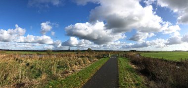 Friesland, Hollanda 'daki Wolvega çevresindeki bir doğal rezerv boyunca bisiklet yolundan gelen panoramik.