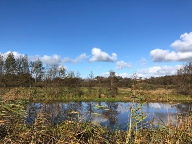 Hollanda, Friesland 'da Wolvega çevresindeki doğa rezervi.