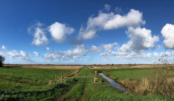 Panorama Reserva Natural Torno Nijetrijne Friesland Países Baixos — Fotografia de Stock