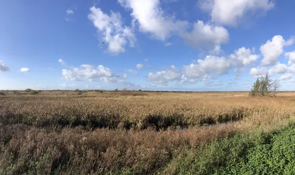 Friesland Hollanda Daki Nijetrijne Çevresindeki Doğal Kaynaklardan Panorama — Stok fotoğraf