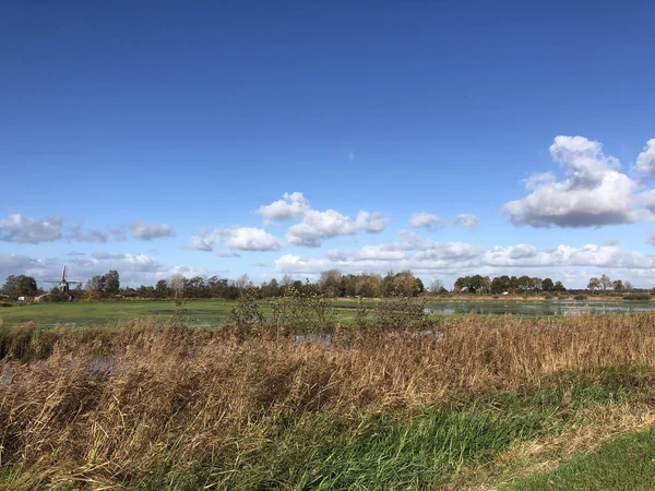 Reserva Natural Com Moinho Vento Torno Wolvega Friesland Países Baixos — Fotografia de Stock