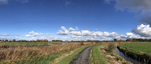 Фабрегас Велосипедной Дорожки Через Природный Заповедник Районе Вольвега Фрисландии Нидерланды — стоковое фото