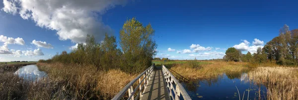Панорамный Велосипедной Дорожки Мост Через Канал Природном Заповеднике Вокруг Вулвеги — стоковое фото