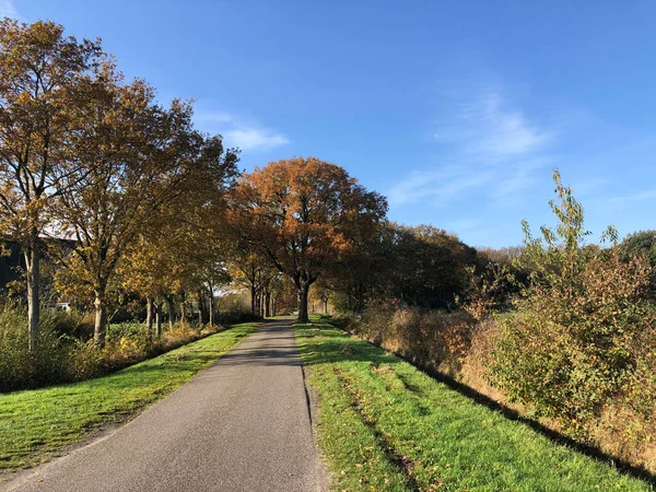 Дорога Восени Навколо Ніджемірдума Фрісленді Нідерланди — стокове фото