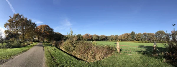 Friesland Hollanda Daki Nijemirdum Sonbaharda Bir Yoldan Panorama — Stok fotoğraf