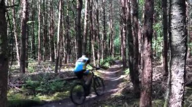 Hollanda 'daki Overijssel ormanında dağ bisikleti sürüyorum.