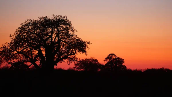 Coucher Soleil Dans Zone Concession Naye Naye Namibie — Photo