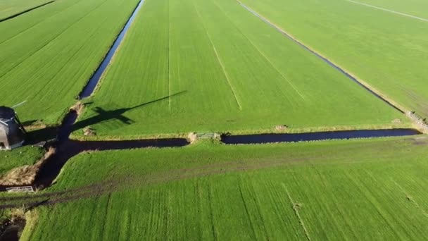 Aerial View Windmill Nijemirdum Friesland Netherlands — Stock Video