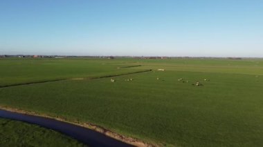 Nijhuizum, Friesland, Hollanda 'daki bir yel değirmeninden hava manzarası.