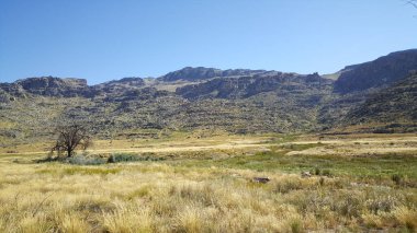 Güney Afrika 'daki Cederberg Vahşi Doğası Sahnesi