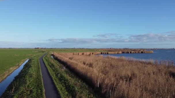 Повітряний Вид Стежки Навколо Озера Brekken Oudega Friesland Нідерланди — стокове відео