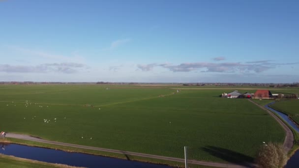 Vista Aérea Desde Molino Viento Alrededor Workum Frisia Países Bajos — Vídeos de Stock