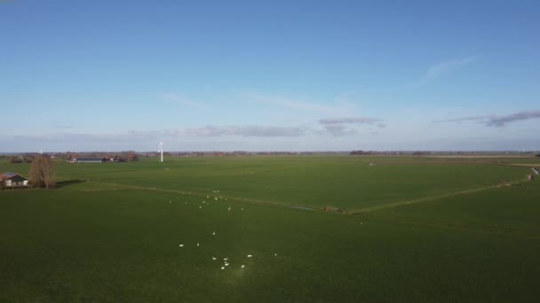 Vista Aérea Desde Molino Viento Alrededor Workum Frisia Países Bajos — Vídeos de Stock