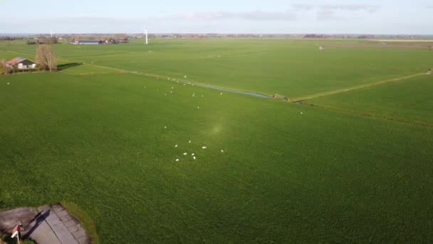 Vista Aérea Desde Molino Viento Alrededor Workum Frisia Países Bajos — Vídeos de Stock