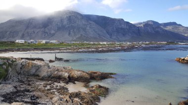 Güney Afrika 'daki Betty Körfezi' nin kayalıklarında