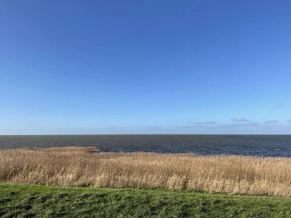 Ijsselmeer Torno Gaast Friesland Países Baixos — Fotografia de Stock